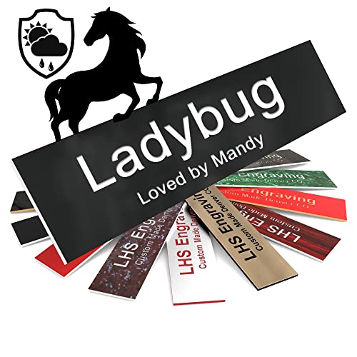 Personalized Horse Stall Name Plates, 2x6 Horse Stall Signs with Adhesive, All Weather UV Protected, Black Plastic White Letters - Made in USA - B2 - color: B2 - Black/White, size: 2in x 6in (5.1cm x 15.2cm)