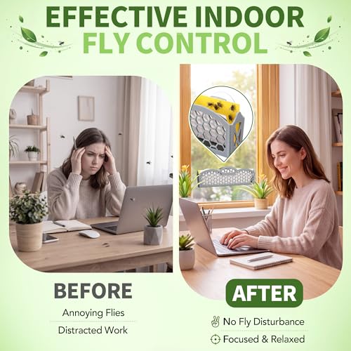 Window Fly Trap Refills, Compatible with Dr. Killigan's the Fly Inn Trap