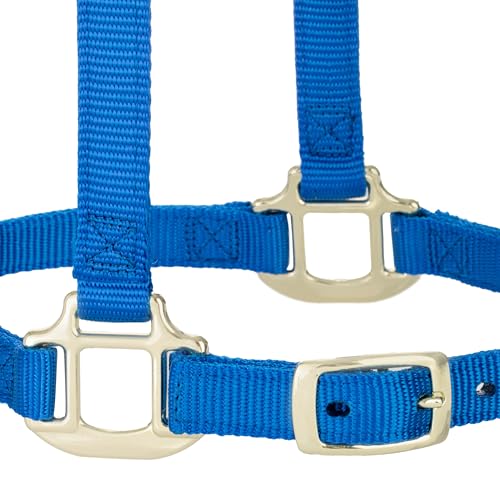 Weaver Leather Adjustable Breakaway Nylon Horse Halter, Blue, Weanling/Pony