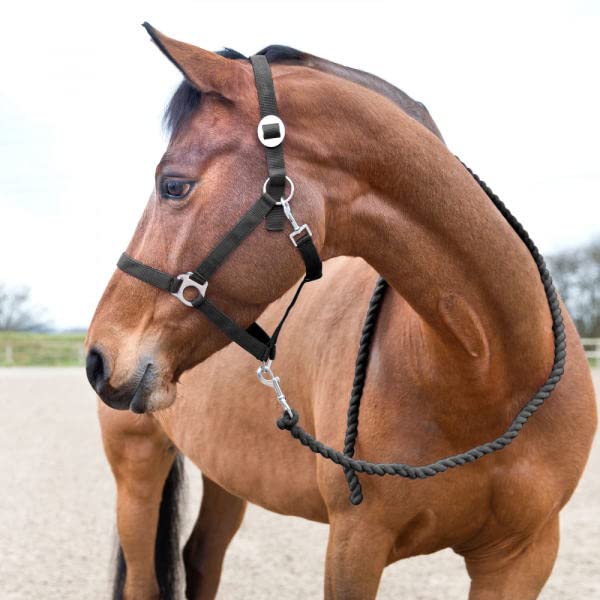 HORZE Basic Cotton 7' Horse Lead Rope (Set of 3) - Black - color: Black