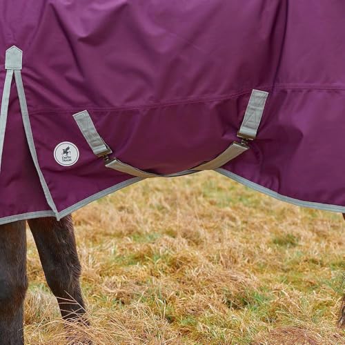 Derby House Elite 1680 Denier with Snuggy Detach-A-Neck Combo Waterproof Turnout Sheet - size: 78