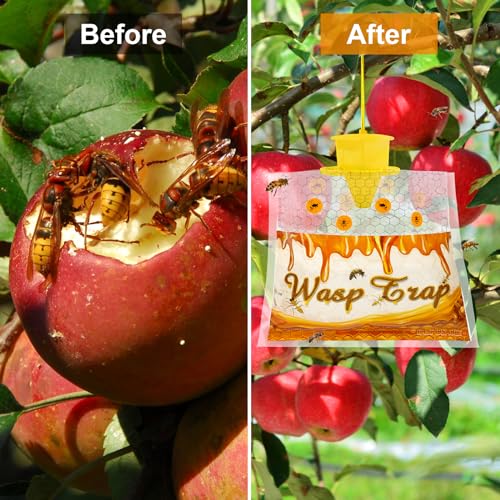 6 Pack Disposable Wasp Traps Outdoor Hanging Bags - size: 6 Pack