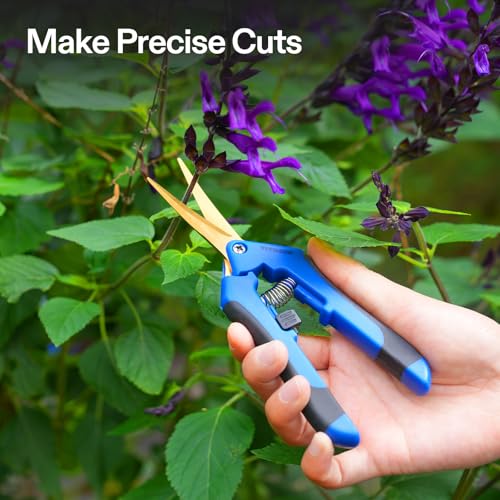 VIVOSUN Curved Gardening Scissors 6.5 Inch Hand Pruner Shear with Titanium Coated Blades 1-Pack | Curved Precision Stainless Steel Blades, Comfort Ergonomic Grips, Ideal Snip for deadheading, Trimming & Shaping Plants - style: Blue Curved Blade