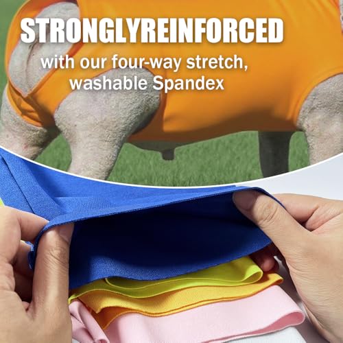 Spandex Goat Tube for Show Goats - Show Livestock Supplies: Goat Covers & Blankets (Light Grayish Blue, Large) - color: light grayish blue, size: Large