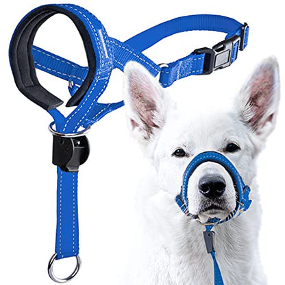 GoodBoy Dog Head Halter with Safety Strap - Stops Heavy Pulling On The Leash - Padded Headcollar for Small Medium and Large Dog Sizes - Head Collar Training Guide Included (Size 1, Blue Nylon) - color: Blue Nylon / Black Padding, size: Size 1 (Pack of 1)