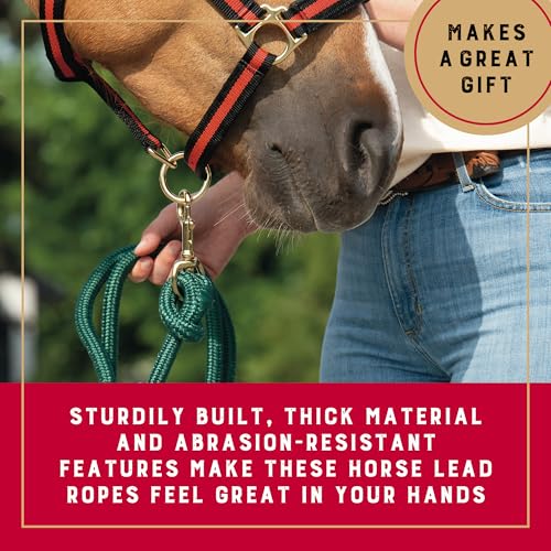 Weaver Equine 10' Performance Lead Rope, Brass-Plated Snap - color: Hunter Green
