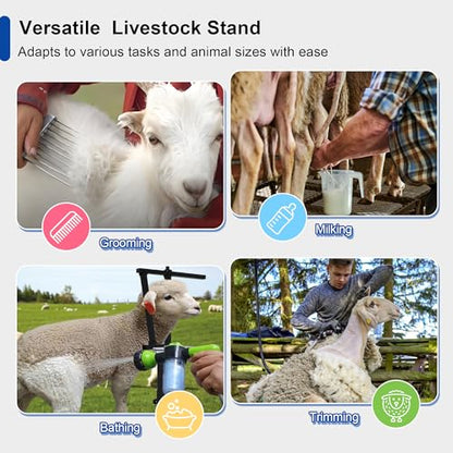 Foldable Goat Stand with Removable Ramp, 51x23" Livestock Trimming Stand with Feed Tray, Metal Goat Sheep Stand 500lbs Capacity for Trimming Shearing Milking Hoof with Adjustable Headpiece & Height