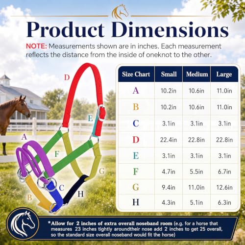 Abbylike Dually Style Horse Training Halter, Blue Bitless Pony Control Headcollar, Humane Pony Behavior Correction Tool for Leading, Training, Adjustable Equine Equipment - size: L,Warmblood