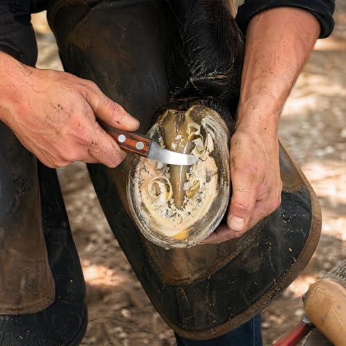 ZENFUN Hoof Knife with Sharpener, Double Edged Hoof Trimming Knife with Wooden Handle & 400/1000 Diamond Grit Rod, 8 Inch Farrier Tool Kit, Stainless Steel Blade Hoof Knife for Horses, Cattle Care