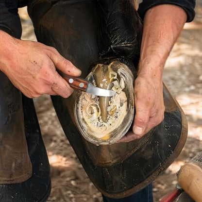 ZENFUN Hoof Knife with Sharpener, Double Edged Hoof Trimming Knife with Wooden Handle & 400/1000 Diamond Grit Rod, 8 Inch Farrier Tool Kit, Stainless Steel Blade Hoof Knife for Horses, Cattle Care