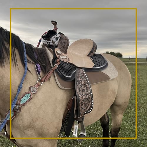 Kavallerie Gel Saddle Pad - Helps with Saddle Bridging, Sore Back, Swayed Back, High Withers English Bareback Pad for Horses, Protective, Perfect for Eventing, Schooling, Dressage - size: Memory Foam Gel
