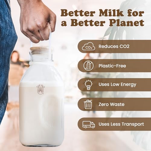Almond Cow - Glass Pitcher with Lid and Spout, Glass Bottle Milk Container for Refrigerator, Clear Milk Jar Bottles, Food-Grade Liquid Container - 60 fl oz Capacity, 5 x 4 x 10 Inches - size: Glass Pitcher - 60 fl oz (Pack of 1)