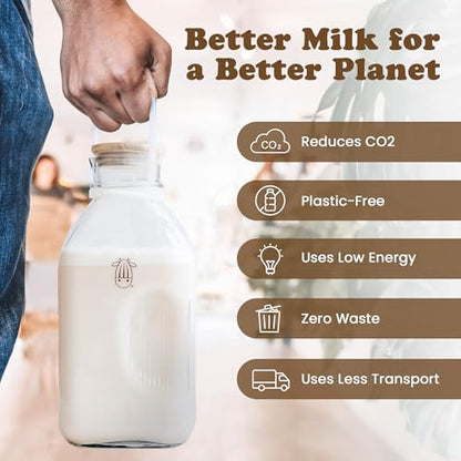 Almond Cow - Glass Pitcher with Lid and Spout, Glass Bottle Milk Container for Refrigerator, Clear Milk Jar Bottles, Food-Grade Liquid Container - 60 fl oz Capacity, 5 x 4 x 10 Inches - size: Glass Pitcher - 60 fl oz (Pack of 1)
