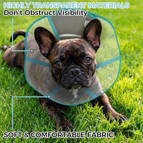 Dog Recovery Collar Pet Elizabethan Cone Collar - color: Blue-Green, size: Large