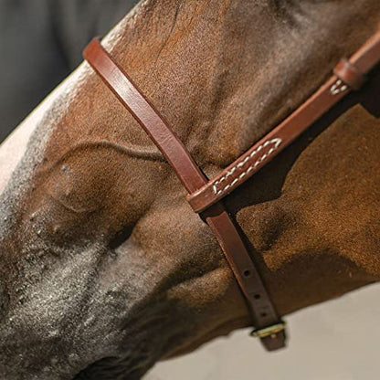 Billy Royal Oiled Royal Herman Oak Flat Nose Caveson for Horses | Hand Selected Herman Oak Hides | Adjustable Comfort Fit | Effective Training Tool | Oiled for Maximum Penetration | Made in the USA