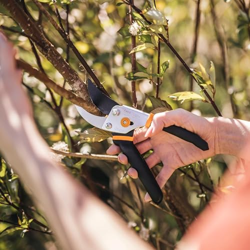 Fiskars Bypass Pruning Shears, 5/8" Cut Capacity Garden Clippers | Self-Cleaning Sap Groove Prevents Sticking, Non-Slip Grip for Cutting Stems & Branches, Steel Blades w/ Low-Friction Coating - style: Bypass Pruner