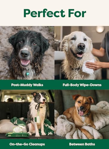 Earth Rated XL Pet Wipes for Dogs & Cats, Unscented Hypoallergenic, 60 Ct - color: Unscented, size: 60 XL Grooming Wipes