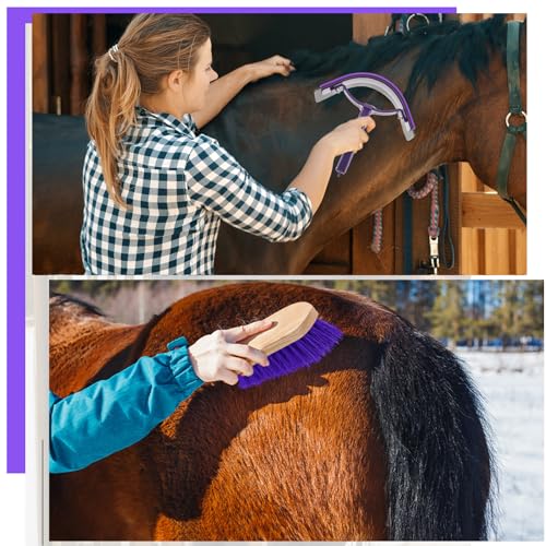 Abbylike 12 Pieces Horse Grooming Kit Equine Care Brushes, Gray and Purple - color: Gray and Purple