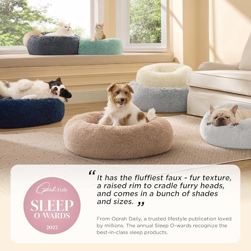 Bedsure Calming Cat Beds Donut Round Washable Kitten Bed,20 inches Darkgrey | Fluffy Faux Fur Cuddler,Machine Washable,Anti-Slip Bottom,Anti-Anxiety,Deep Sleeping for Cats&Small Pets Up to 15 Lbs - color: Dark Grey, size: 20"L x 20"W x 6"Th
