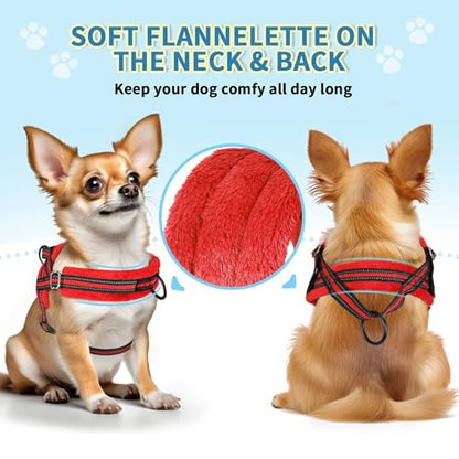 SlowTon No Pull Small Dog Harness and Leash Set with Front Clip | Soft Padded, Neck & Chest Adjustable, Lightweight, Anti-Twist, Puppy Vest Harness Pet Lead Combo for Small Medium Dog, R S - color: Red, size: Small