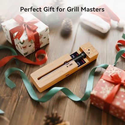 Newise Bluetooth Wireless Meat Thermometer - Long Range & Fast Charge - style: 1 Probe