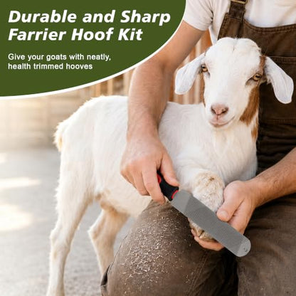 2PCS 15.6inch Double-Side Hoof Rasp File with Long Handle