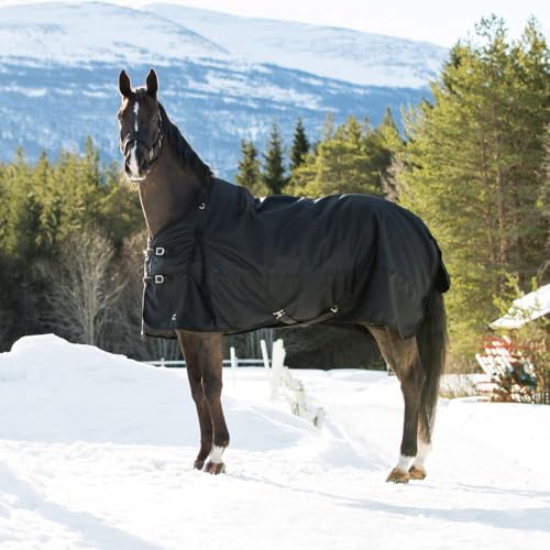 HORZE Nevada Horse Blankets for Real Horses, Turnout Blankets for Horses - size: 75 in