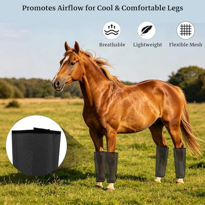 Mesh Horse Fly Boots, Set of 4, Black - color: Black