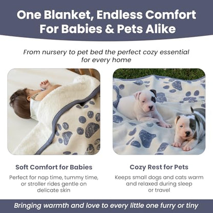 Small Pet Blanket - 100% Organic Cotton, Double Layer Plush Sherpa, Soft Plush, Blue Paw Jacquard Knit, 30"x40", Small Dog Blanket, Ideal Cat Blanket - Soft and Warm - color: Blue