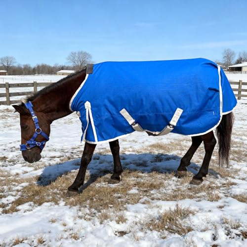 Miniature Horse Pony Horse Blanket, 1200D Winter Turnout Blanket for Pony Breeds/Tiny Horse/Small Breed Horse/Foal,Donkey Blanket Medium Weight with 220g Polyester Liner(51inch, Blue) - size: 100cm-51inch