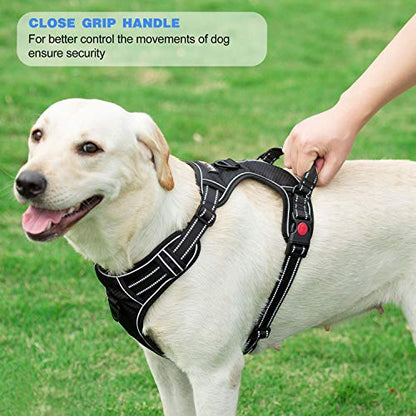 tobeDRI No Pull Dog Harness Adjustable Reflective Oxford Easy Control Medium Large Dog Harness with A Free Heavy Duty 5ft Dog Leash, Pink, M - color: Pink, size: Medium
