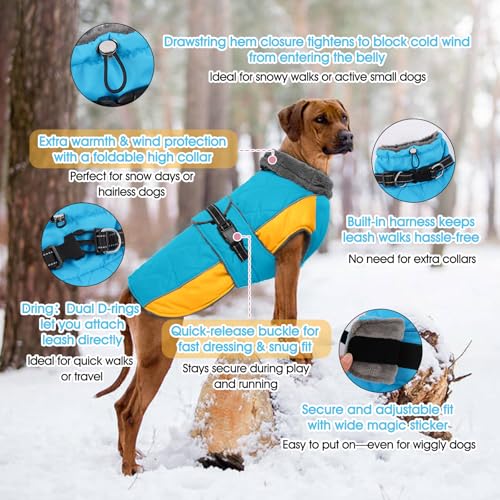 QBLEEV Warm Dog Jacket, Waterproof Dog Winter Coat with Harness - color: Lake-Blue, size: Medium