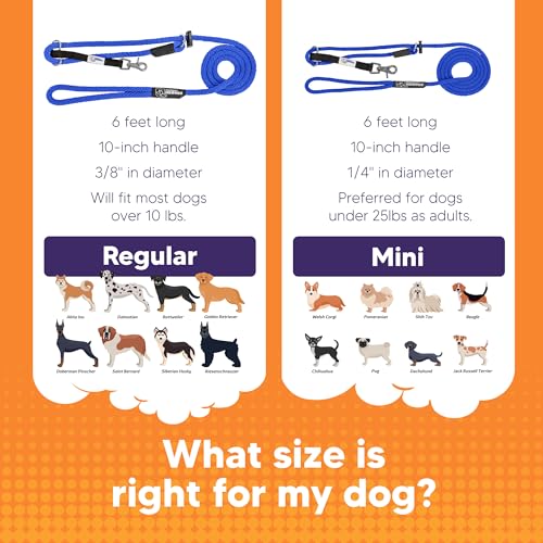 Heather's Heroes The Sidekick No-Pull Leash Blue - color: Blue, size: Mini (1/4")