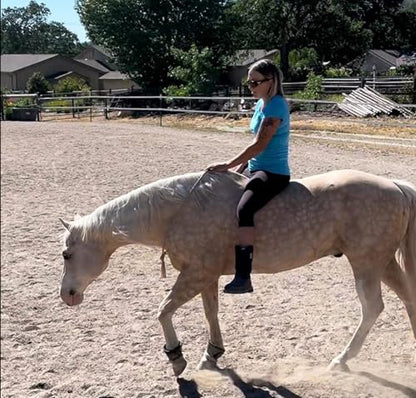 neck rope horse tack bridleless riding