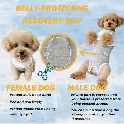 Dog Surgical Suit - Recovery Onesie for Dogs After Surgery, Spayed Female/Male Puppy, Breathable Anti-Lick Clothes, Alternative to Cone(Grey and White-XXS) - color: grey and white, size: XX-Small