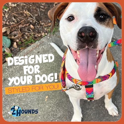 2 Hounds Design Freedom No Pull Dog Harness and Leash, 1" XXL, Burgundy - color: Burgundy, size: XXL (Chest 38" - 44")