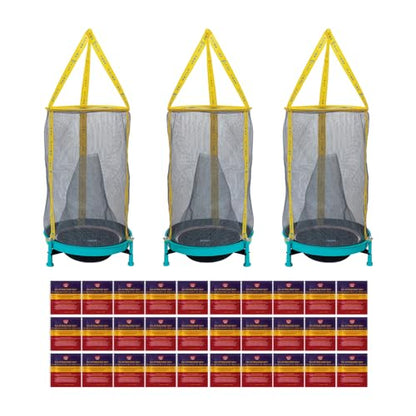 EZ Fly Cage Ranch Fly Trap with 2 Flies Inn Fly Attractant Bait Refill, Low Odor, Reusable, Built to Last for Years (3 Trap + 36 Baits, 1) - style: 3 Trap + 36 Baits