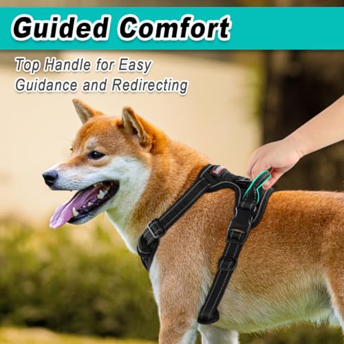BARKBAY Dog Harness for Small Sized Dog No Pull 2 Leash Clips Dog Vest - color: Black, size: Small