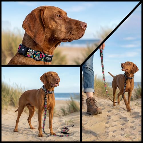 Tuff Pupper Premium Adjustable Dog Collar for Small Boy & Girl Dogs, Stylish Pattern Collars Designed in USA, Quick Release Buckle, DayoftheDead Print, Small (0.7 Inch Wide x 8-12 Inch Neck) - color: Las Calaveras, size: Small