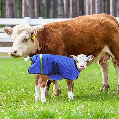 POPETPOP Calf Jacket Waterproof Windproof Winter Coat Livestock Warming Coat for Calves Easy Buckle Fit Warm Apparel for Cold Wet Pastures 42.51 X 33.46 in