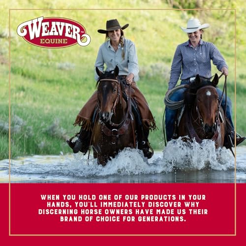 Weaver Leather Equine Felt Lined Smart Cinch - color: Black, size: 30-Inch