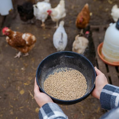 Red Barn Rubber Livestock Feed Pan - 1 Gallon