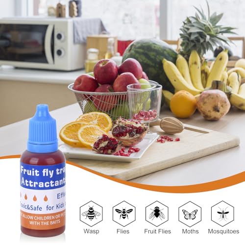 Fruit Fly Trap Refill Liquid Replacement Only 6 Packs- Liquid Fly Traps for Indoors- Non Toxic Bait Safe Near Pets,Food and Kids- Fruit Fly Lure Refill Liquid Trap Easy to Use Fly Traps for House