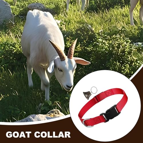 Goat Show Collar Adjustable Nylon Pet Collar