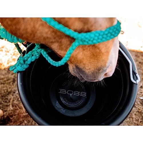 Boss Bucket - color: Habenero Gold