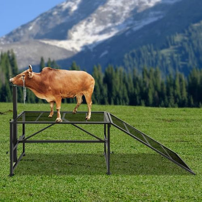 Milking Stand with a Ramp, Adjustable Milking Stand, Metal Goat Stand for Trimming Hooves 500 Lbs for Small Sheep and Goat