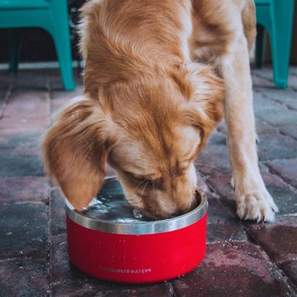 Coldest Dog Bowl - Anti Rust Metal, Non Slip, 3 Layers Insulated Stainless Steel Dog Bowls - Spill Proof & Heavy Duty - Water Bowl for Dogs, Cats & Pets, Dish Washer Safe (42 oz, Celestial Blue) - color: Celestial Blue, size: 42 oz