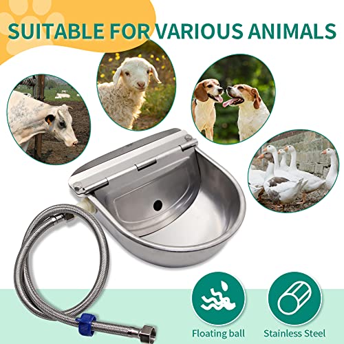 Automatic Cattle Waterer Stainless Steel Dog Water Bowl Outdoor & Indoor