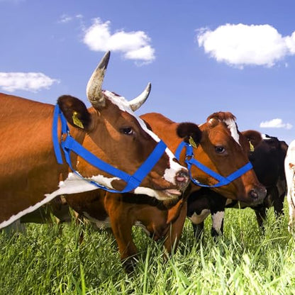 M METERXITY 2-Pack Adjustable Cattle Cow Calf Halter, 15.74"-19.68" Nylon Livestock Cow Halter for Miniature Horse/Donkey/Goat/Cattle [Green/Blue]