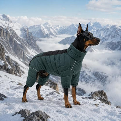 ArmyGreen Dog Jumper, Windproof, Reflective - Dirigible Winter Jacket for S, M, L - Zip, Adjustable Sizes - color: Armygreen, size: S (10.5inch Back)